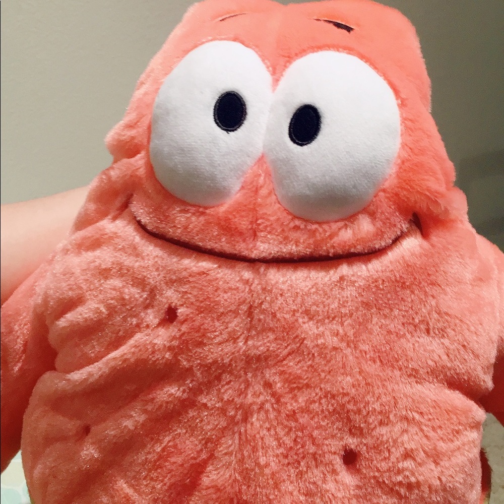 Meet your Posher, Abby